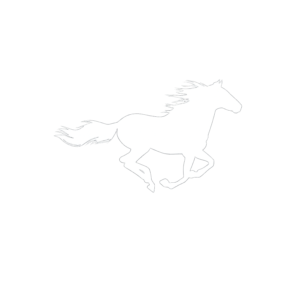 Northern Outrider Capital Partners Inc. logo